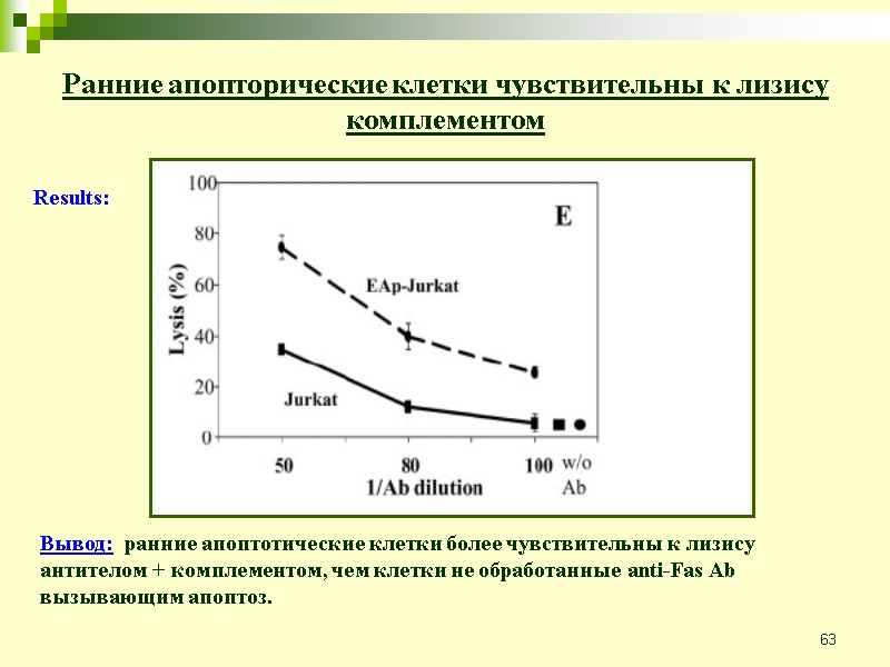 63 Вывод:  ранние апоптотические клетки более чувствительны к лизису антителом + комплементом, чем